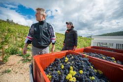 domaine deveney•mars uncategorized vins beaune nuit cotes 