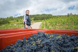 domaine deveney•mars uncategorized vins beaune nuit cotes 