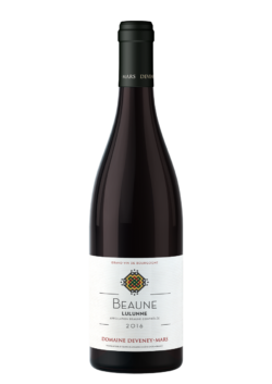 Beaune Lulunne 2016